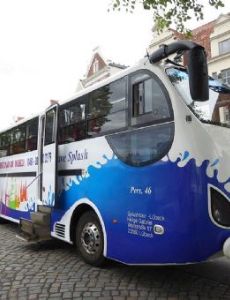 Amfibus
