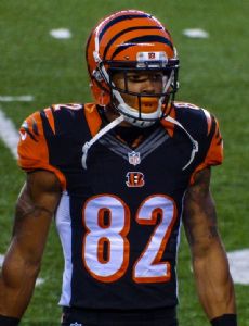 Marvin Jones (wide receiver)