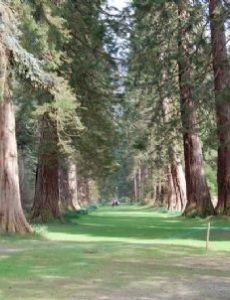 Benmore Botanic Garden