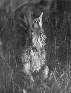 Emma Turner (photographer)