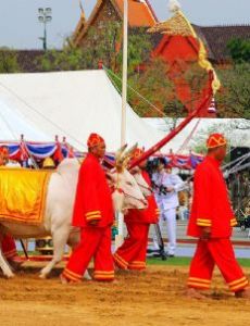 Royal Ploughing Ceremony