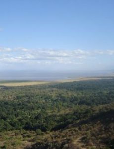 Lake Manyara