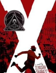 X (young adult novel)