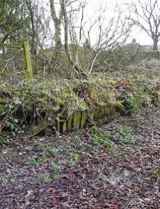 Parkhouse Halt railway station
