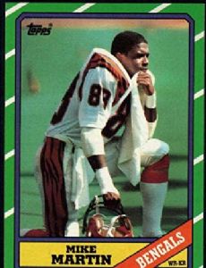 Mike Martin