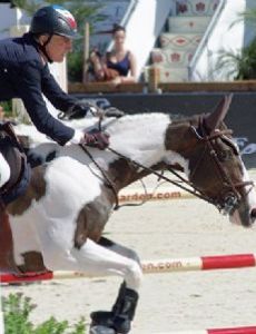 Michel Robert (equestrian)