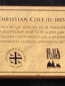 Christian Cole (barrister)