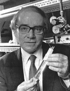 Martin Fleischmann