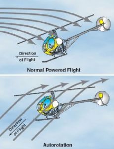 Autorotation