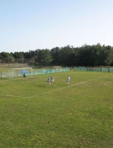 Stadion Safari