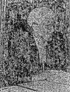 Leslie Gibson