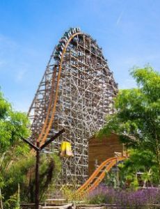 Untamed (Walibi Holland)