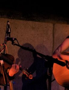 Blue Roses (musician)