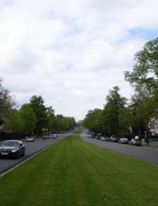 Avenue Franklin Roosevelt