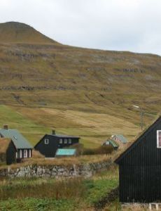 Heine Havreki