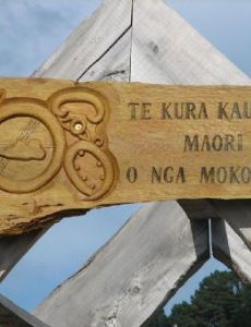 Kura Kaupapa Māori