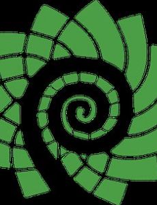 Green Party of New Brunswick