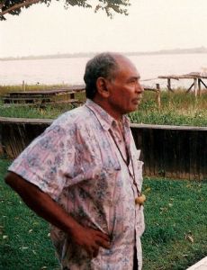 Erwin de Vries