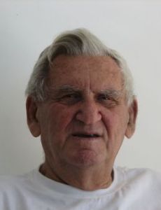 Menahem Degani
