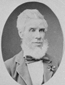William Hutchison (New Zealand politician)