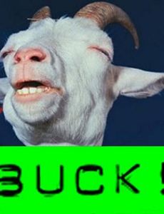 GoatUp 2