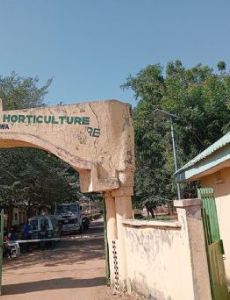 Federal College of Horticultural Technology, Dadin Kowa