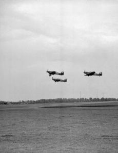 Battle of Barking Creek
