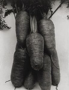 Charles Jones (photographer)