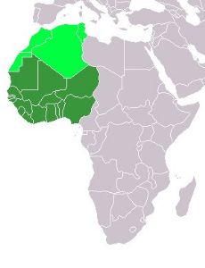 History of West Africa