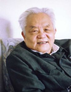 Wu Wenjun