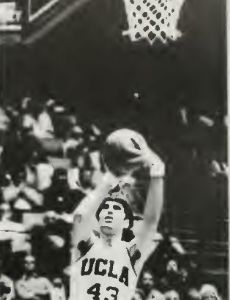 Greg Lee