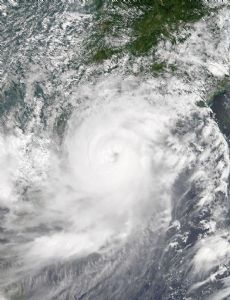 Typhoon Hato