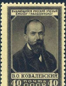 Vladimir Kovalevskij