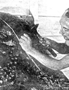 Maurice Ascalon