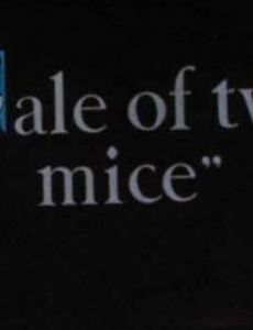 Tale of Two Mice