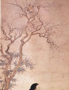 Fei Danxu
