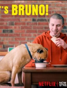 It's Bruno!