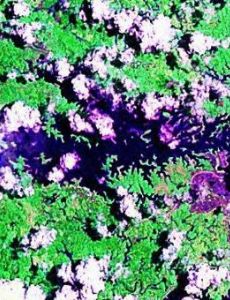 Lake Caliraya