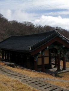 Jonjaamji