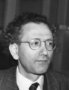 Martin van Amerongen