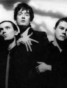Pulp
