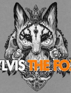 The Fox