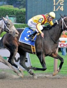 Rachel Alexandra (Thoroughbred)