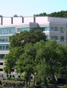 ASTM International