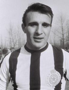 Branislav Mihajlović
