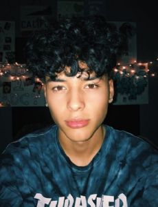 Brandon Westenberg