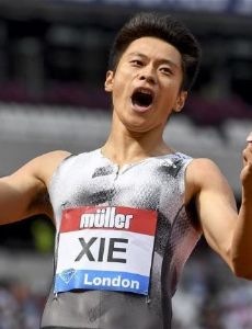 Xie Wenjun