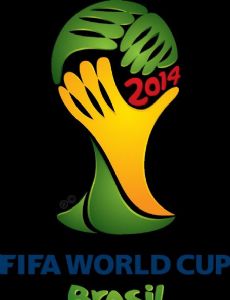 2014 FIFA World Cup