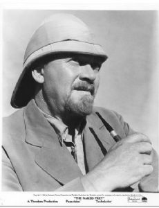 Gert Van den Bergh