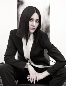 Shang Wenjie